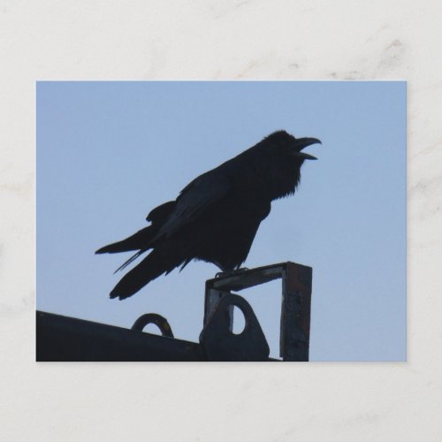 Raven in Silhouette Unalaska Island Postcard
