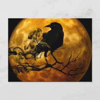 Raven in the night postcard