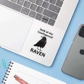 Raven Look At My Intelligence Raven