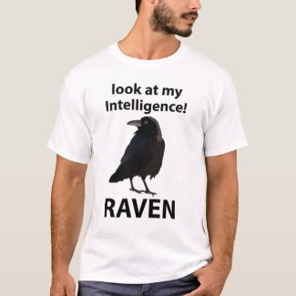 Raven Look At My Intelligence Raven