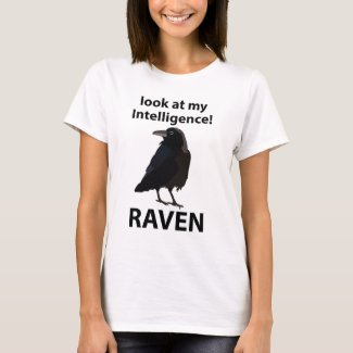 Raven Look At My Intelligence Raven