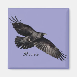 Raven Magnets