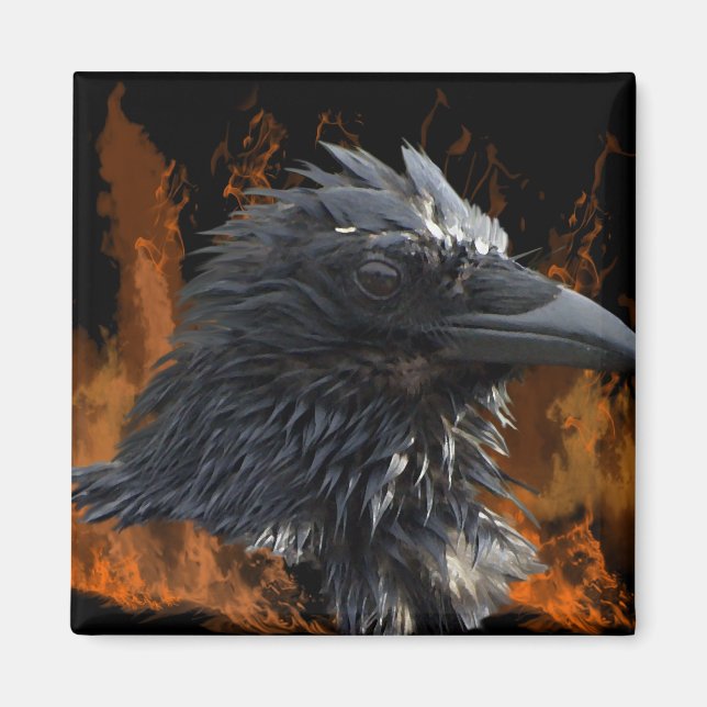 Raven Magnets (Front)