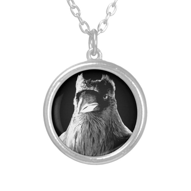 Raven Necklace Wildlife Gifts Raven Bird Jewelry (Front)
