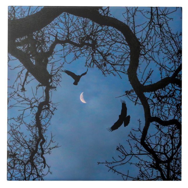 Raven, Oak Tree and Crescent Moon Art Tile (Front)