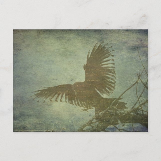 Raven of Poe's Poetry Postcard (Front)