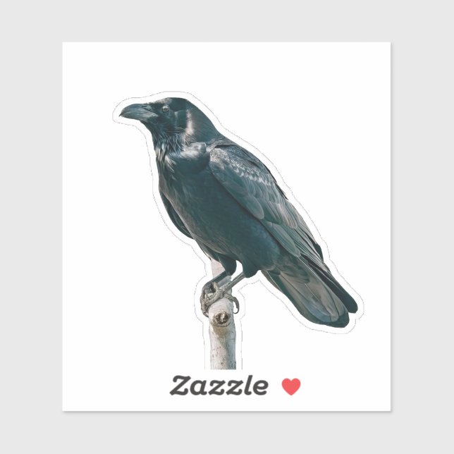 Raven on a Branch Sticker (Sheet)