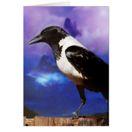 Raven on a fence cards (Front)