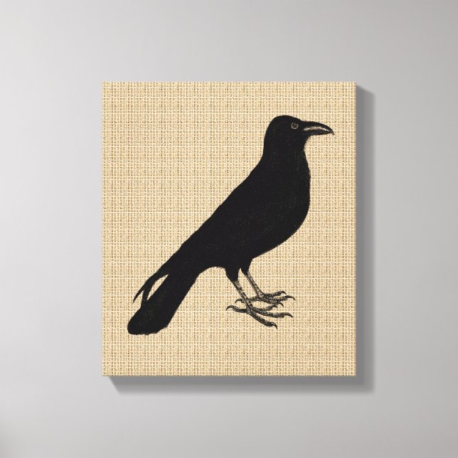 Raven on Canvas (Front)