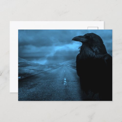 Raven on Road Postcard