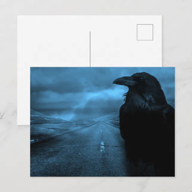 Raven on Road Postcard | Zazzle