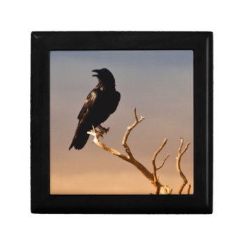 Raven On Sunlit Tree Branches  Grand Canyon Gift Box by uscanyons at Zazzle