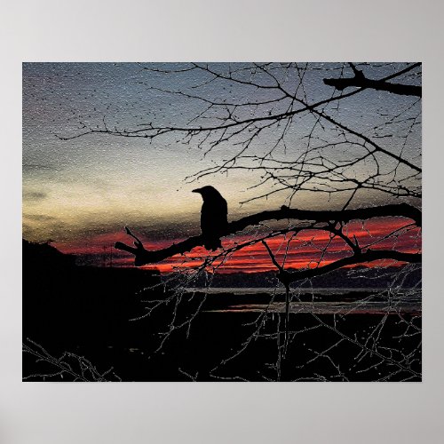 Raven on the Tree on Sunset Poster