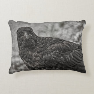Raven P9239 Accent Pillow