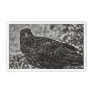 Raven P9239 Acrylic Tray