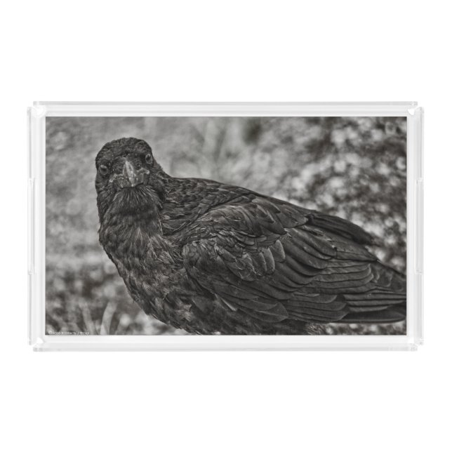 Raven P9239 Acrylic Tray (Front)