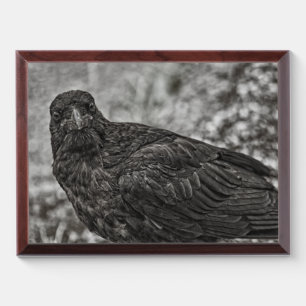 Raven P9239 Award Plaque