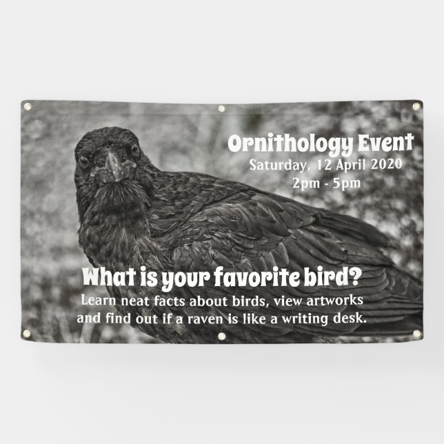 Raven P9239 Banner (Horizontal)