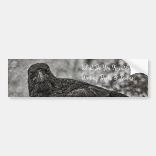 Raven P9239 Bumper Sticker