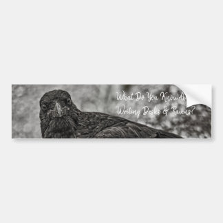 Raven P9239 Bumper Sticker