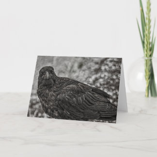 Raven P9239 Card