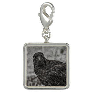 Raven P9239 Charm
