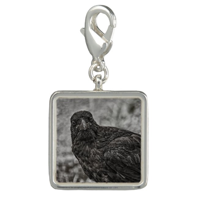 Raven P9239 Charm (Front)
