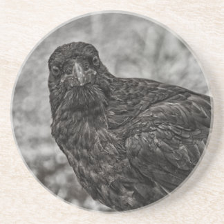 Raven P9239 Coaster