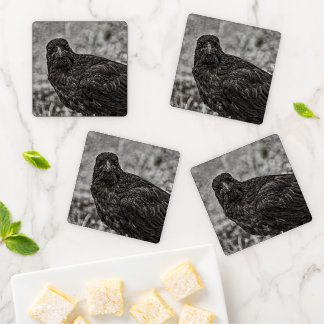 Raven P9239 Coaster Set