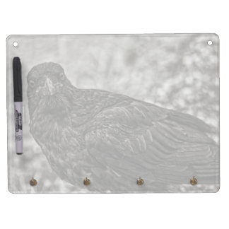 Raven P9239 Dry Erase Board With Keychain Holder