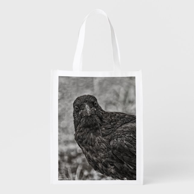 Raven P9239 Grocery Bag (Front)