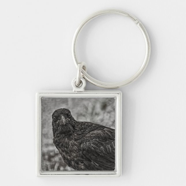 Raven P9239 Keychain (Front)