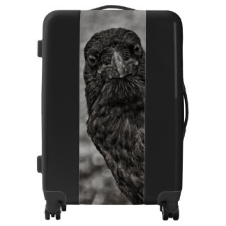Raven P9239 Luggage