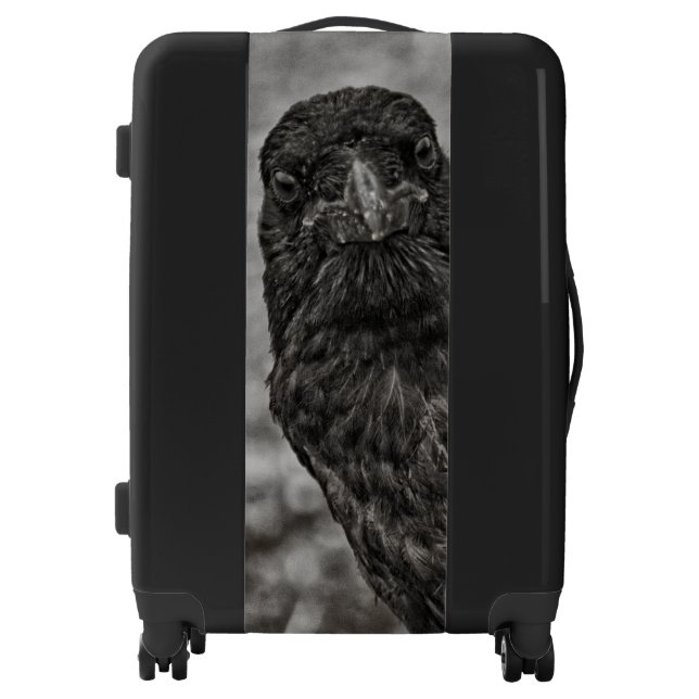 Raven P9239 Luggage (Front)