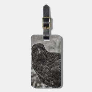 Raven P9239 Luggage Tag