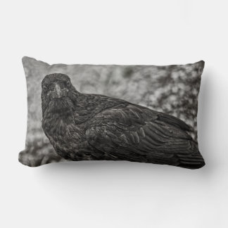 Raven P9239 Lumbar Pillow