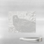 Raven P9239 Magnetic Dry Erase Sheet at Zazzle