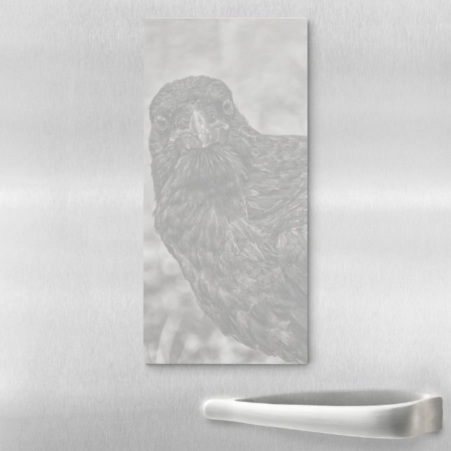 Raven P9239 Magnetic Notepad (In Situ)