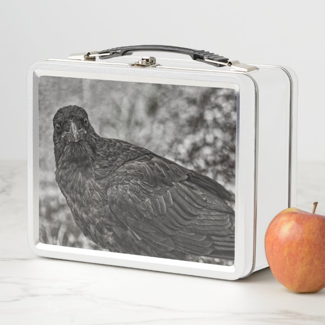 Raven P9239 Metal Lunch Box (In Situ)