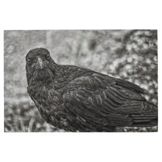 Raven P9239 Metal Print