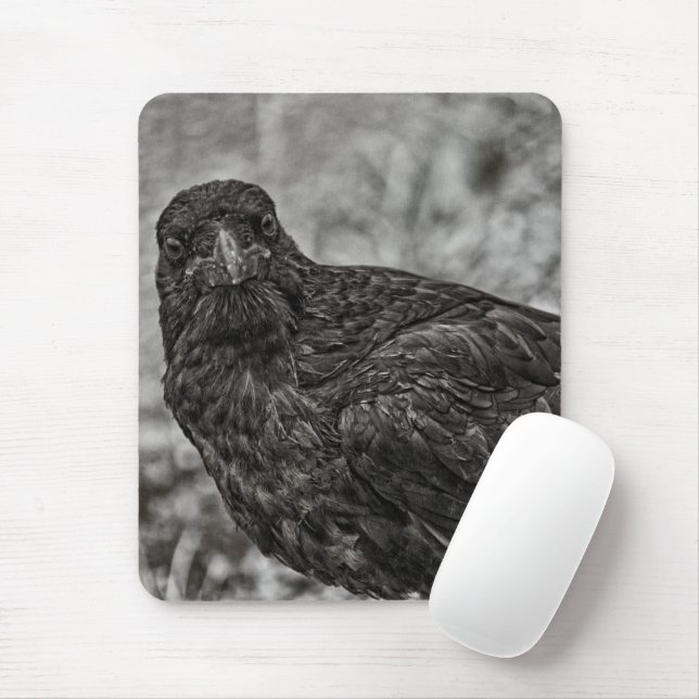 Raven P9239 Mouse Pad (With Mouse)