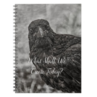Raven P9239 Notebook