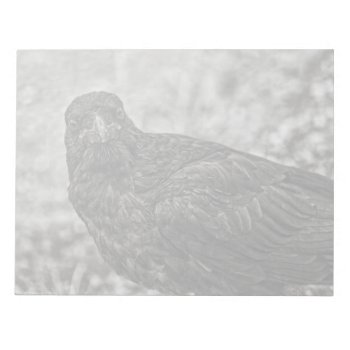 Raven P9239 Notepad by DevelopingNature at Zazzle