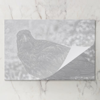Raven P9239 Paper Pad