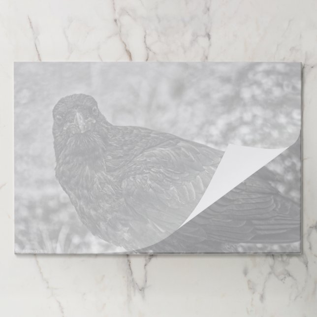 Raven P9239 Paper Pad (Folded)