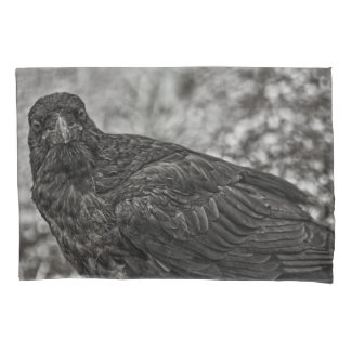 Raven P9239 Pillow Case