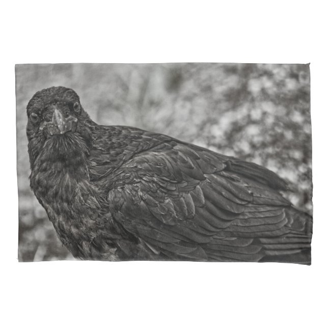 Raven P9239 Pillow Case (Front-Left)