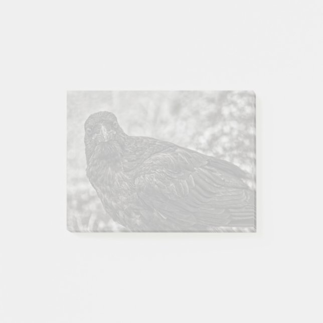 Raven P9239 Post-it Notes (Front)