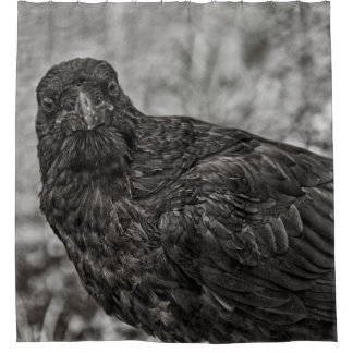 Raven P9239 Shower Curtain