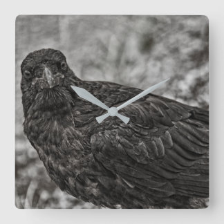 Raven P9239 Square Wall Clock